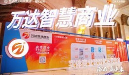 万达商管爆料视频最新版,商业帝国背后的秘密与挑战