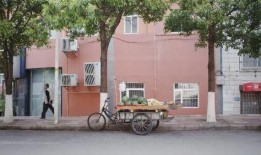 娱乐吃瓜酱北方教学楼,娱乐吃瓜酱的神秘之地